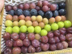 えま様専用　粒　2kのサムネイル