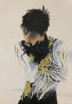 rerere様専用 羽生結弦 色鉛筆画 A3 イラストのサムネイル