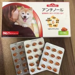 アンチノール　42粒のサムネイル