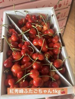 야마가타현산 홍수봉 후타고쨩 체리 1kg