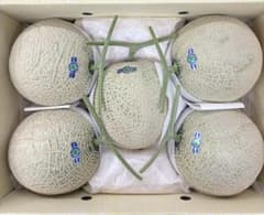 高級ブランドメロン☆高知県産 夜須のエメラルドメロン5玉入約9.9