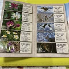 JR北海道 観光旅行記念切符 入場券 10枚 硬券 | Shop at Mercari from