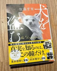 犬を盗むのサムネイル