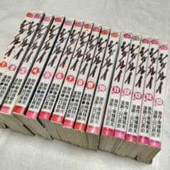 シグルイ 1~15巻 全巻セット - メルカリ
