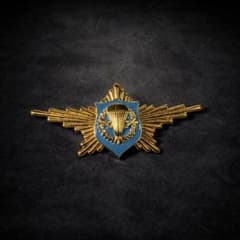 ロシア空挺軍 VDV 空挺兵 識別章 金色胸章 パラシュート徽章 実物系 ロシア空挺軍 VDV 空挺兵 金色胸章 パラシュート徽章 大型識別章 実物