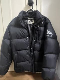 BBB様専用 XLARGE ダウンジャケット（Lサイズ）のサムネイル
