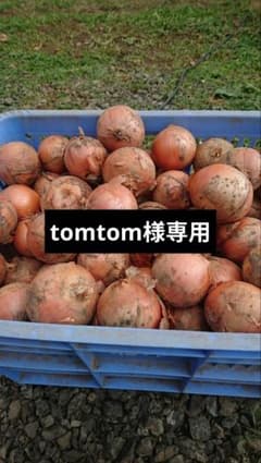 tomtom様専用のサムネイル