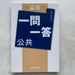 山川 一問一答 公共 学習参考書のサムネイル