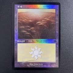 m39644756475_1.jpg?1708587292