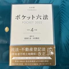 ポケット六法 令和4年版のサムネイル