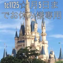 エルゴ インサートのサムネイル