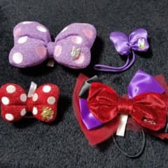 Tokyo Disney Resort ヘアゴム 4点セット