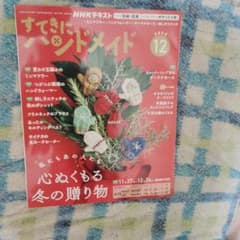 すてきにハンドメイド 12月号 2025年 NHKテキストのサムネイル