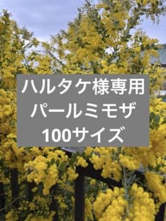ハルタケ様専用パールミモザ100サイズのサムネイル