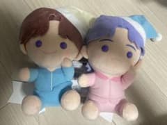 TinyTAN 호와포테 M 봉제인형 2점