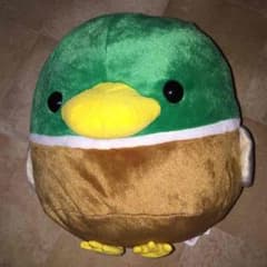 ことり隊 bigぬいぐるみ  カモのサムネイル