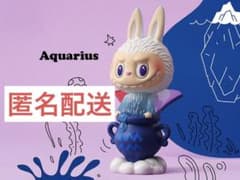 labubu THE MONSTERS星座シリーズ　Aquariusのサムネイル
