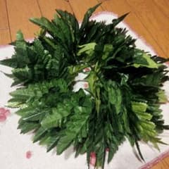 フラダンス　レイポ　ヘッドバンドのサムネイル