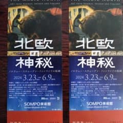 北欧の神秘　チケット２枚のサムネイル