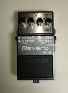RV-6 Digital Reverbのサムネイル