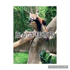 IRIS OHYAMA 衣類スチーマー IRS-01-WSアイロンのサムネイル