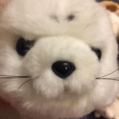 ぬいぐるみのサムネイル
