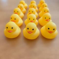 アヒル ぬいぐるみ 15個セットのサムネイル