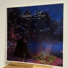 junho From 2PM Winter Sleep リパッケージ盤 イジュノ - メルカリ