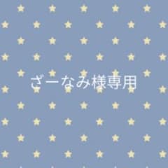 ざーなみ様専用のサムネイル