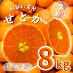 訳あり 和歌山県産 せとか 8kg サイズ混合 有田みかん 柑橘 数量限定3