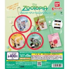주트 피어 블리스터 매력 컬렉션