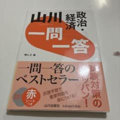 山川 一問一答 政治・経済のサムネイル