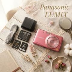 ✨️希少色✨️Panasonic DMC-FX80✨️完全動作確認済み！ ✨️希少色✨️Panasonic DMC-FX80✨️完全動作確認済み！ - メルカリ