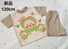 【新品】こびとづかん　スモモノウチ　半袖　パジャマ　120cm