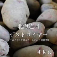 北海道産 デストロイヤー 【送料無料】　4kgのサムネイル