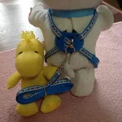 小型犬用ハーネス&リード  美品のサムネイル