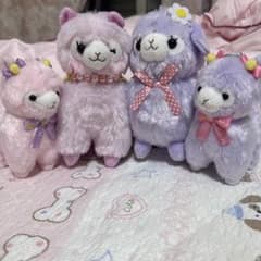 Amuse Alpacasso ぬいぐるみ 4体セット - メルカリ