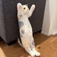三毛猫 ぬいぐるみ 立ち姿 ゆるキャラのサムネイル