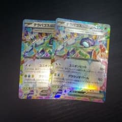 ポケモンカードゲーム テラパゴスex rr