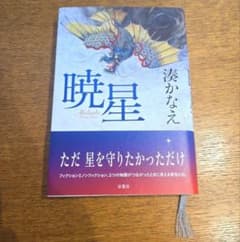 湊かなえ 暁星 単行本のサムネイル