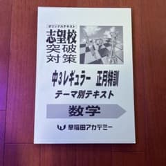 早稲田アカデミー 中3レギュラー 正月特訓 数学 テーマ別テキスト