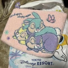 Disney Easter 2019 うさぎポーチ ミスバニーのサムネイル