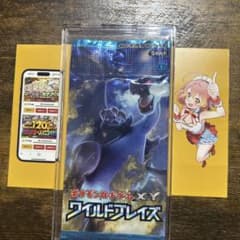☆専用☆XY 拡張パック ワイルドブレイズ未使用 - メルカリ