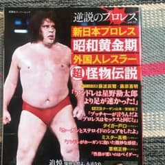 逆説のプロレス 13のサムネイル