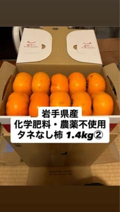 【即購入可】今期最終11/3収穫 タネなし柿1.4kg②のサムネイル