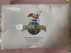 春のママーキャンペーン景品USJオリジナルピローブランケットのサムネイル