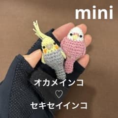 ◇ オカメインコ♡セキセイインコ♡インコ♡カラス♡文鳥 あみぐるみ