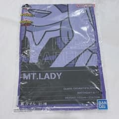 [미개봉]MT.LADY 수건
