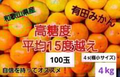 和歌山県有田産　平均糖度15度越え❗小玉みかん　5kg　みかんキング 和歌山県有田産 平均糖度15度越え❗宮川早生 5kg みかんキング 数量
