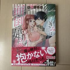 小説 きみは面倒な婚約者のサムネイル